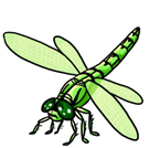 [Dragonfly Clipart]